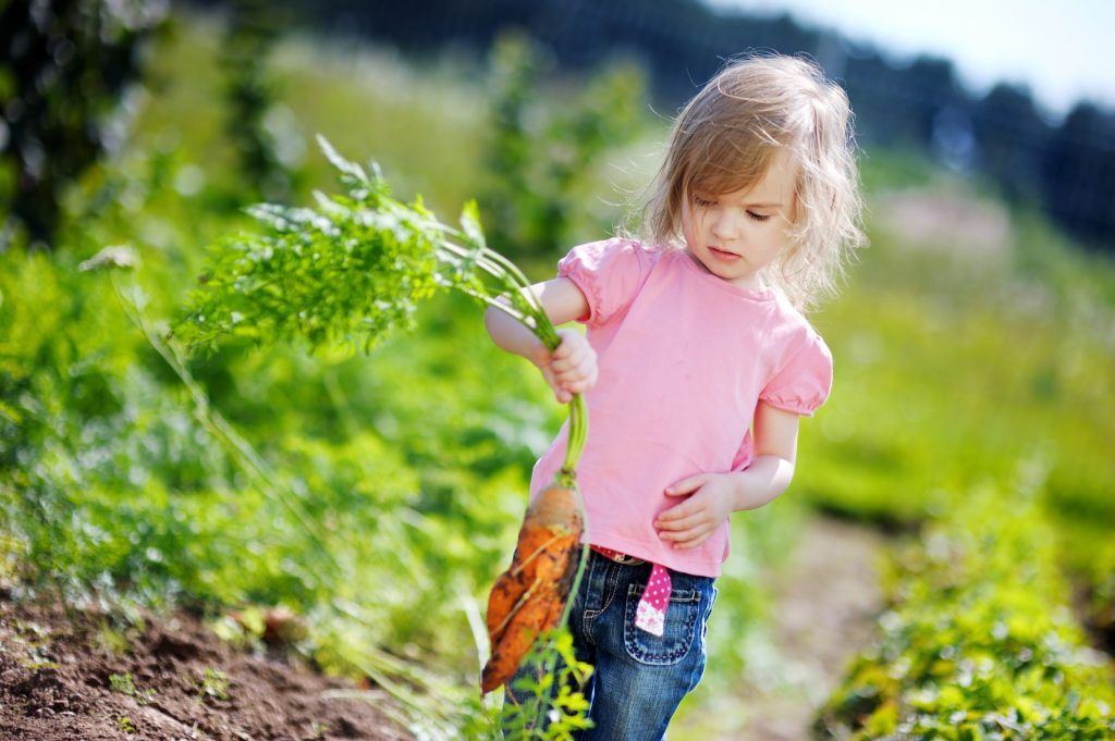 shutterstock_83537134 shutterstock_83537134