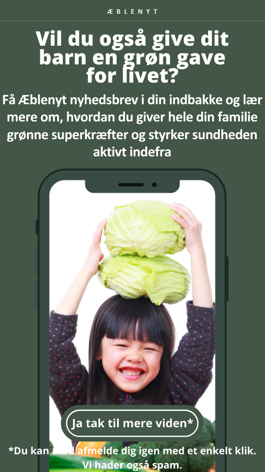 Nyhedsbrev_Tilmelding2.5
