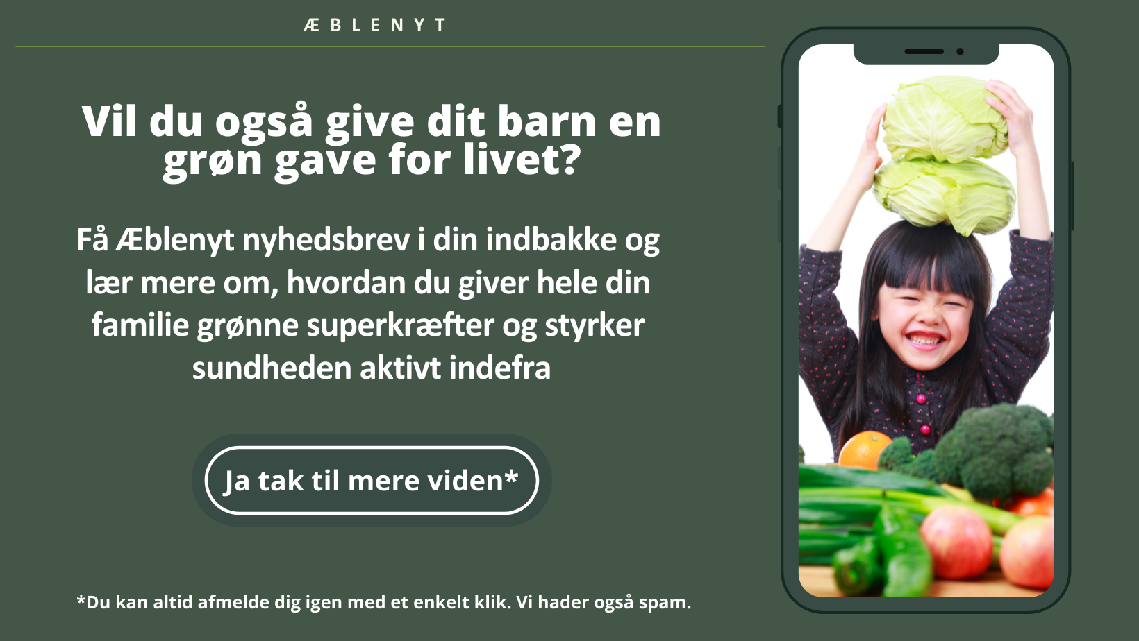 Nyhedsbrev_TilmeldingVandret