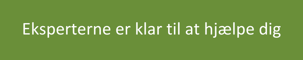 Eksperter Eksperter