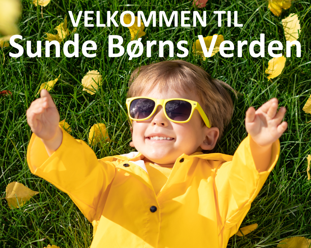 SundeBørnsVerdenTopMobil SundeBørnsVerdenTopMobil